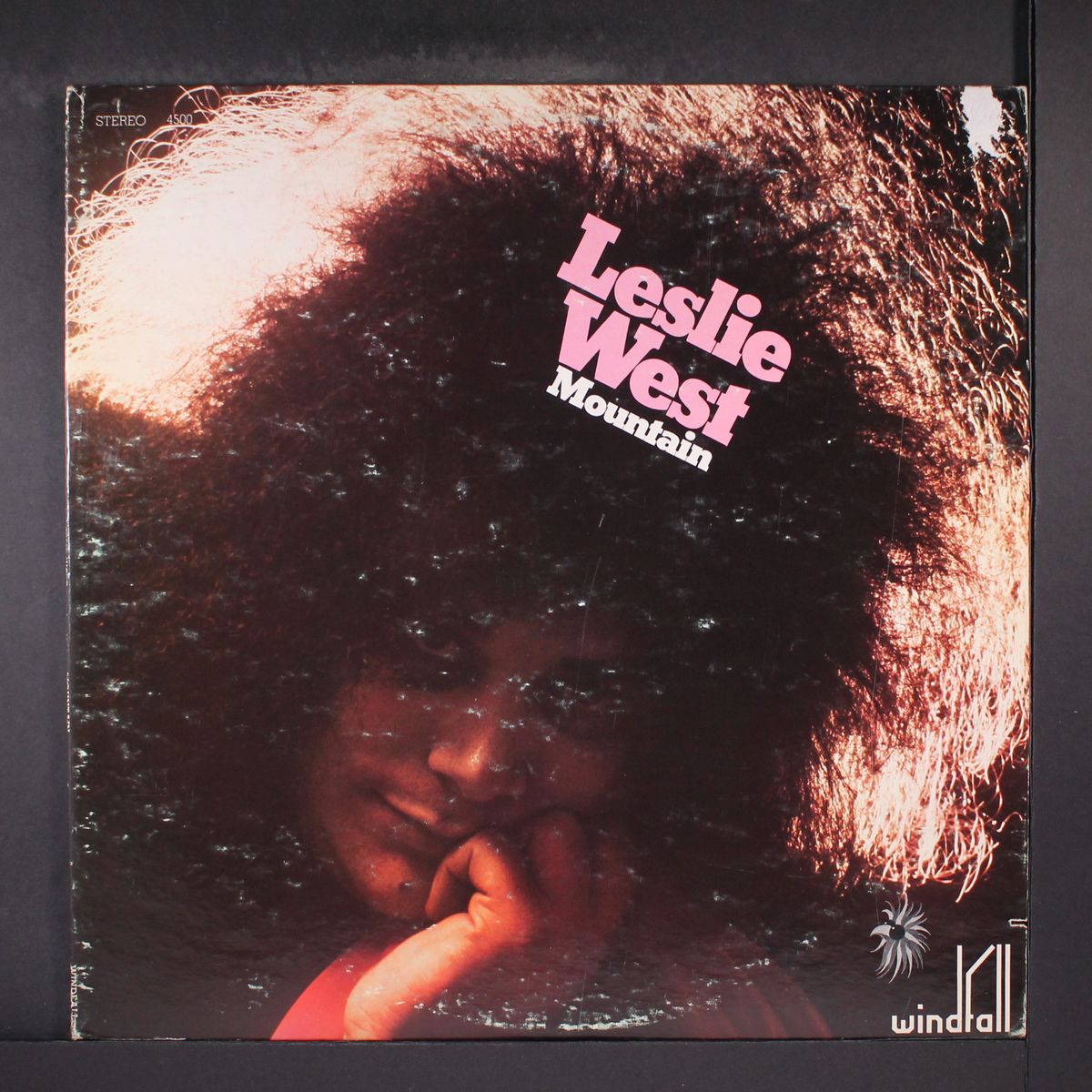 mountain by LESLIE WEST