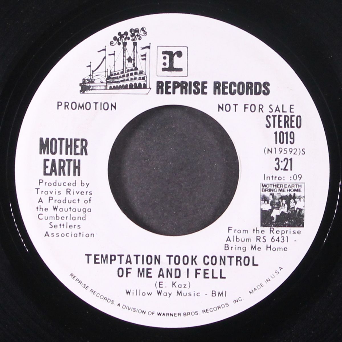 temptation took control of me and i fell / mono by MOTHER EARTH