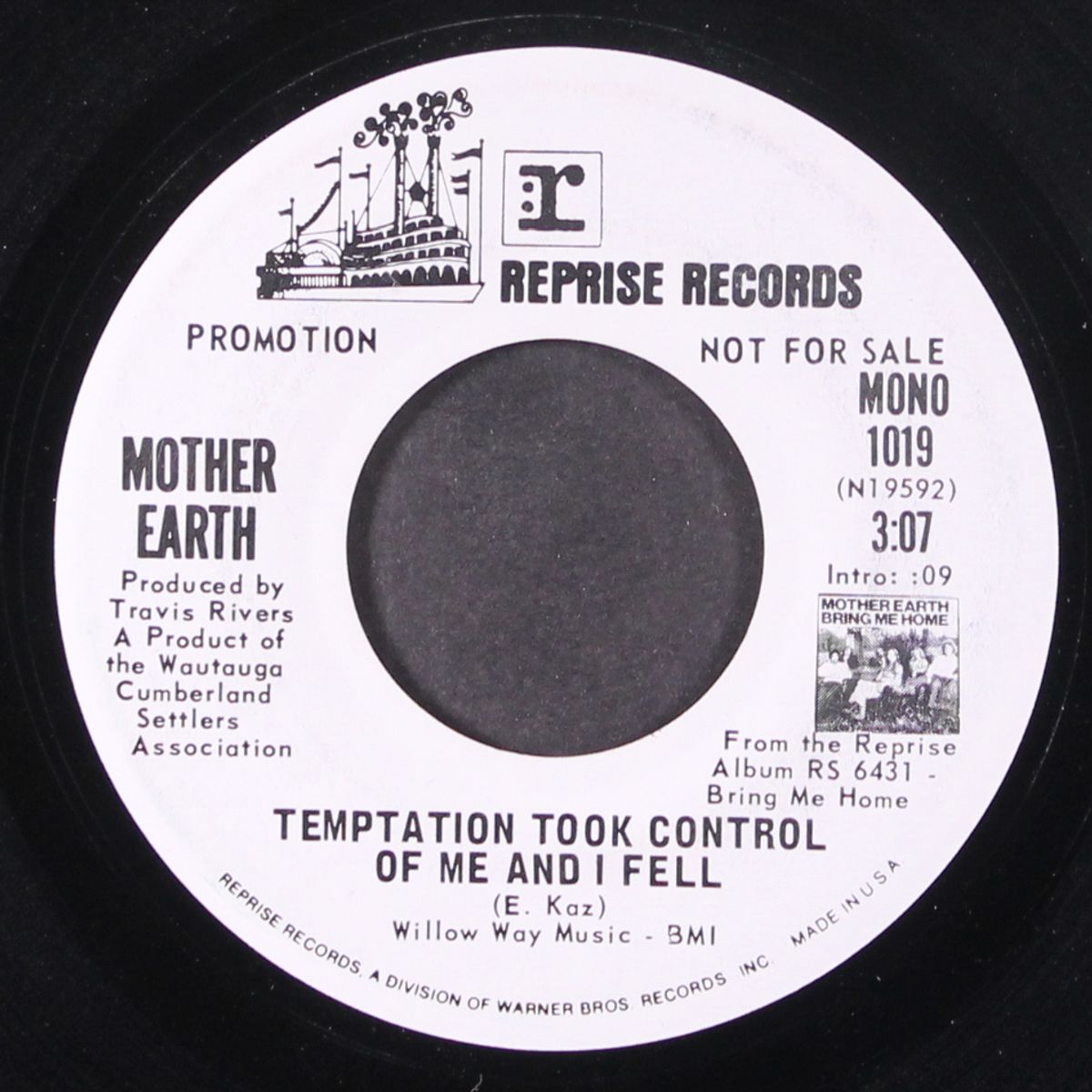 temptation took control of me and i fell / mono by MOTHER EARTH