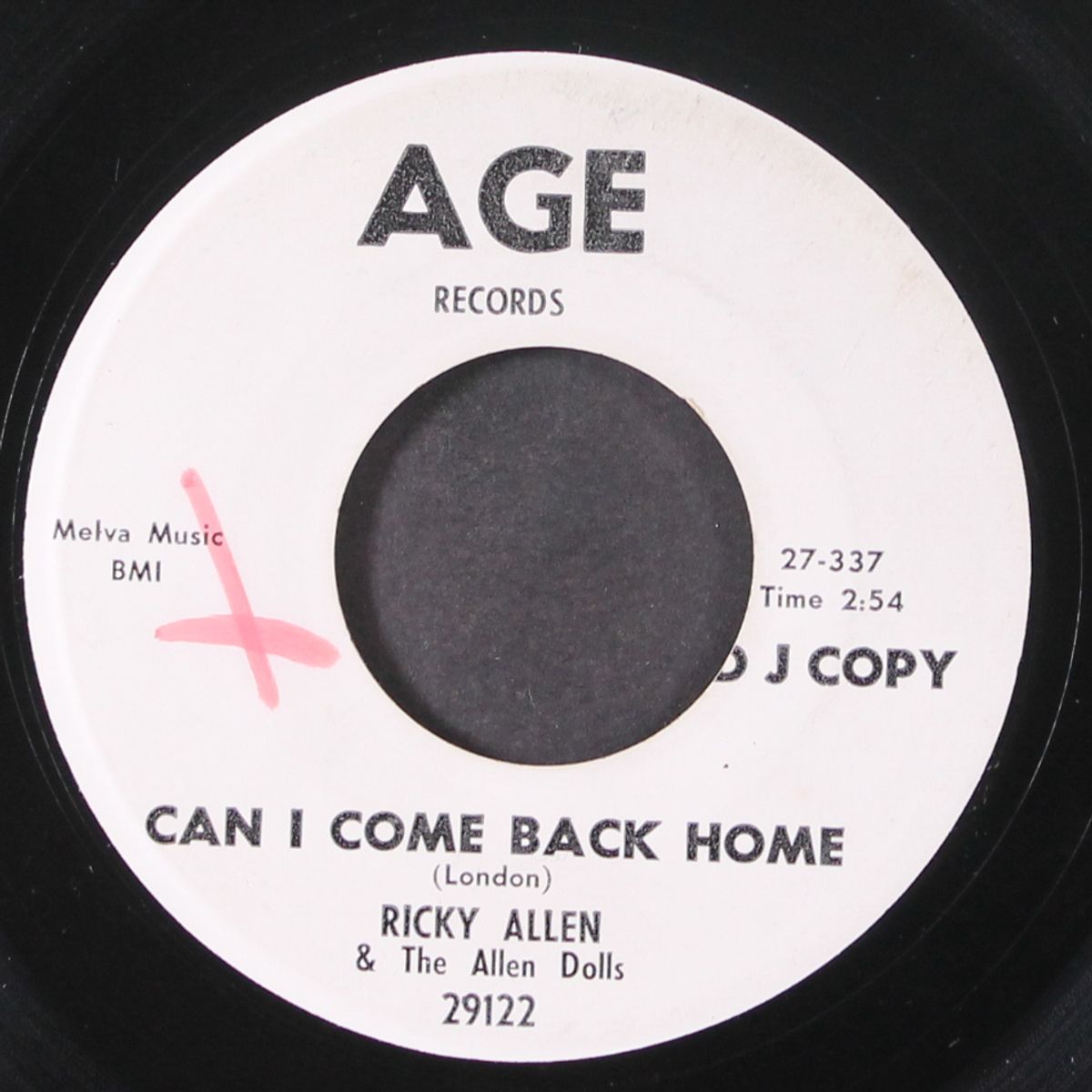 eighty hour week / can i come back home by RICKY ALLEN