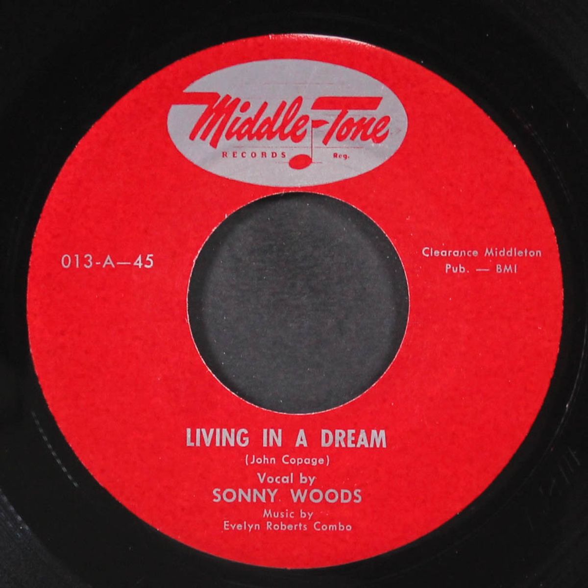 living in a dream / do you mean it by SONNY WOODS