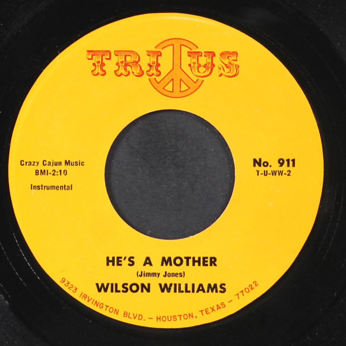 can't get over losing you / he's a mother by WILSON WILLIAMS