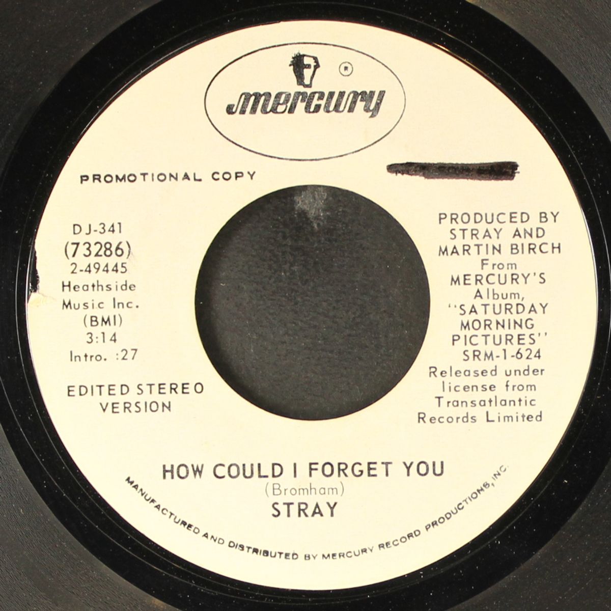how could i forget you by STRAY