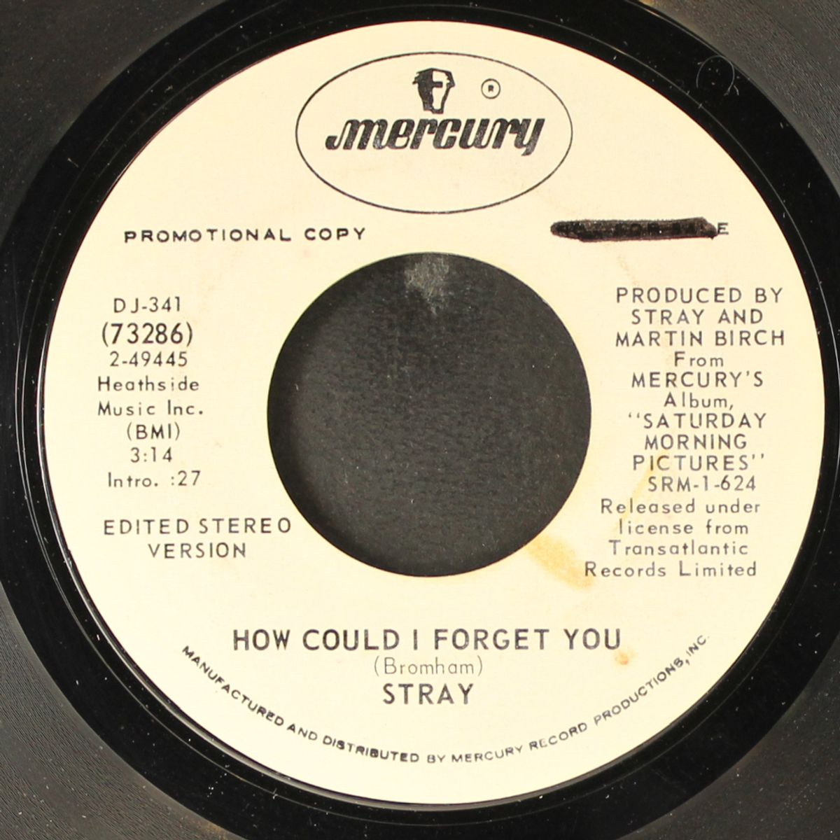 how could i forget you by STRAY