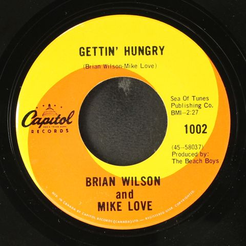 BRIAN WILSON & MIKE LOVE