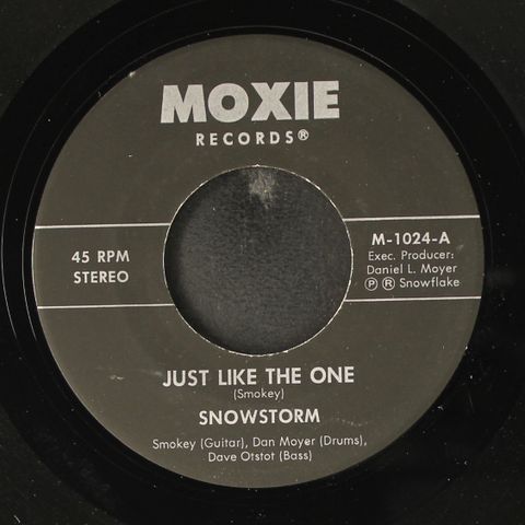 SNOWSTORM
