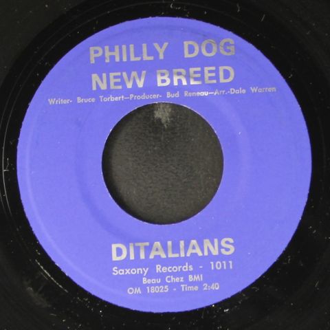 DITALIANS