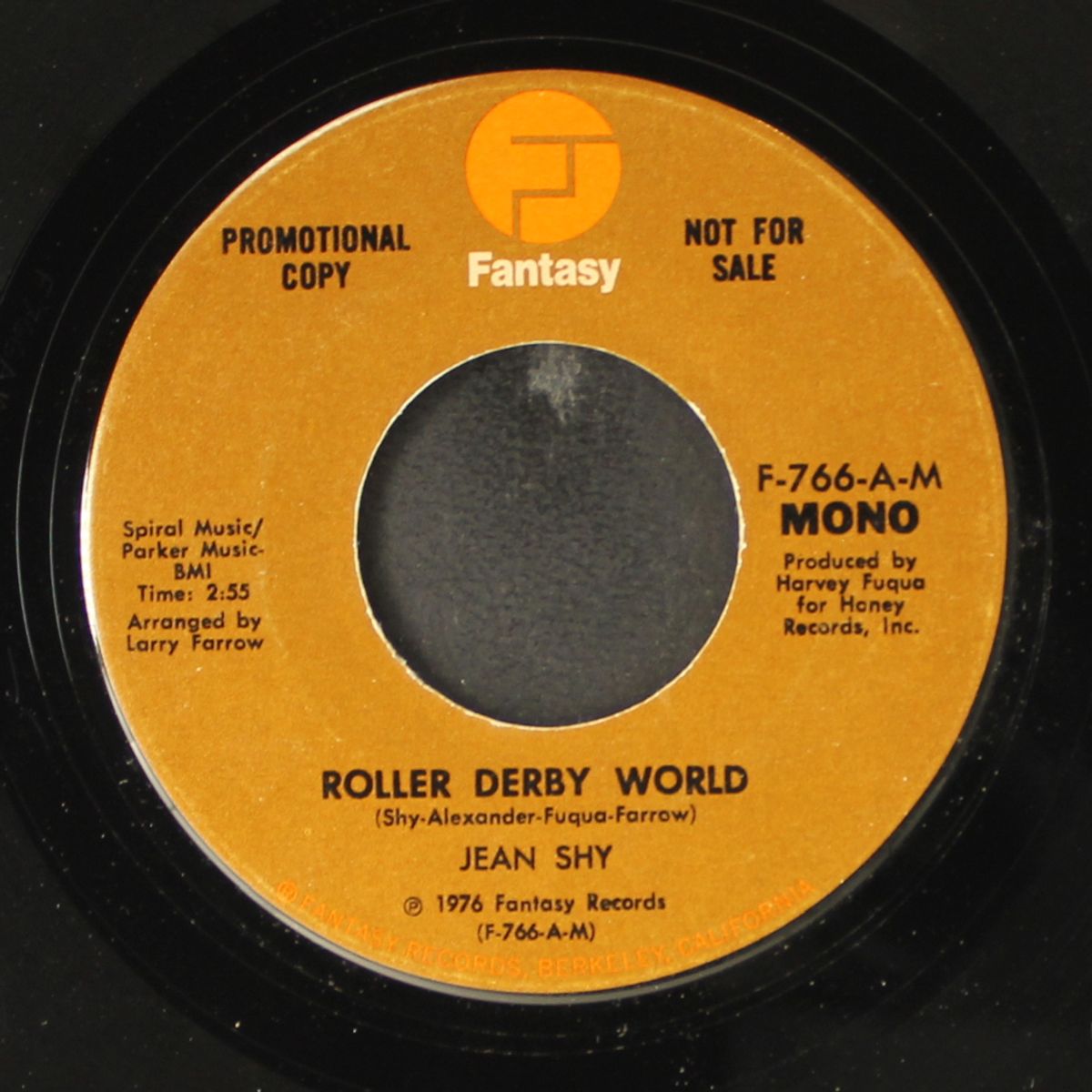 roller derby world / mono by JEAN SHY