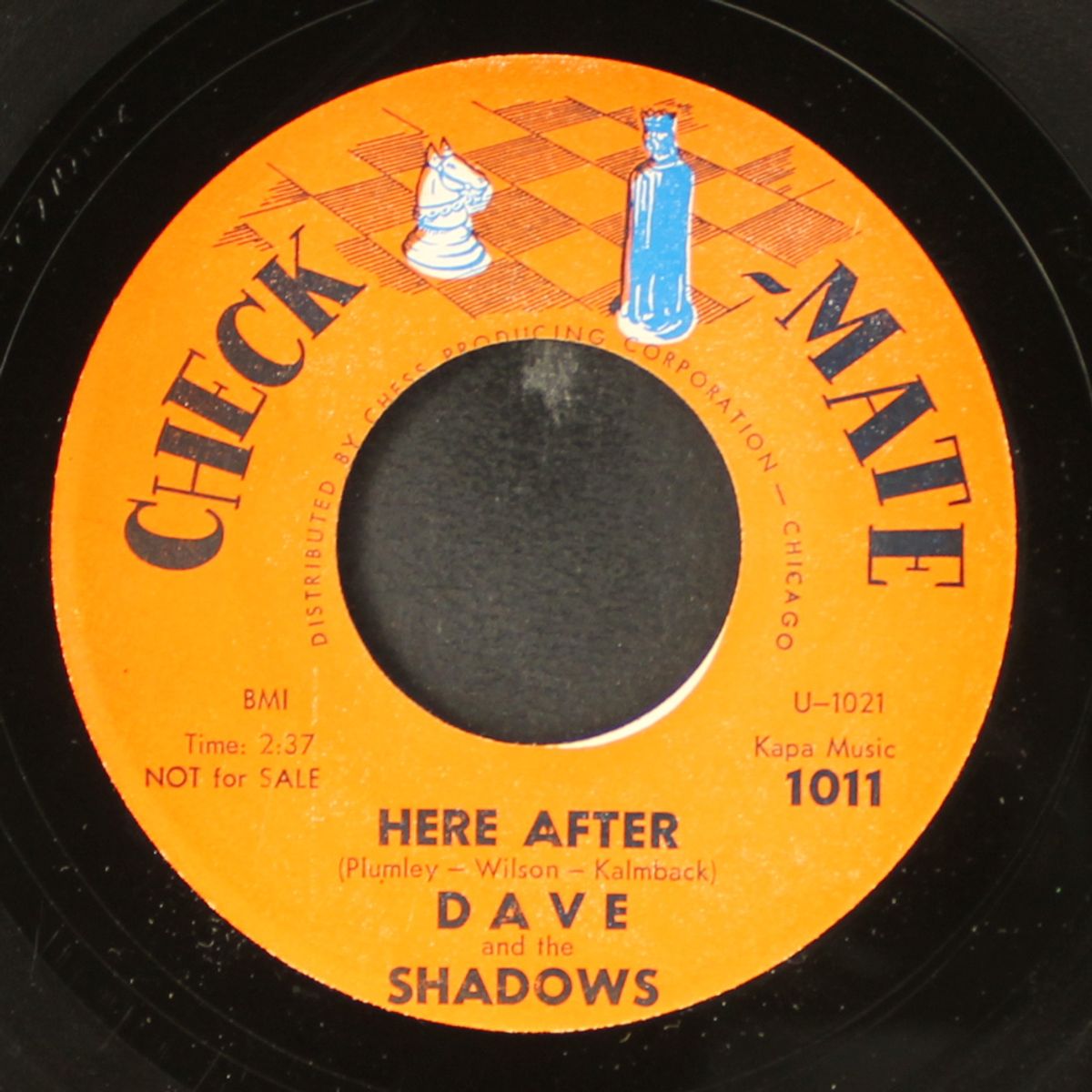 here after / blue down by DAVE & SHADOWS