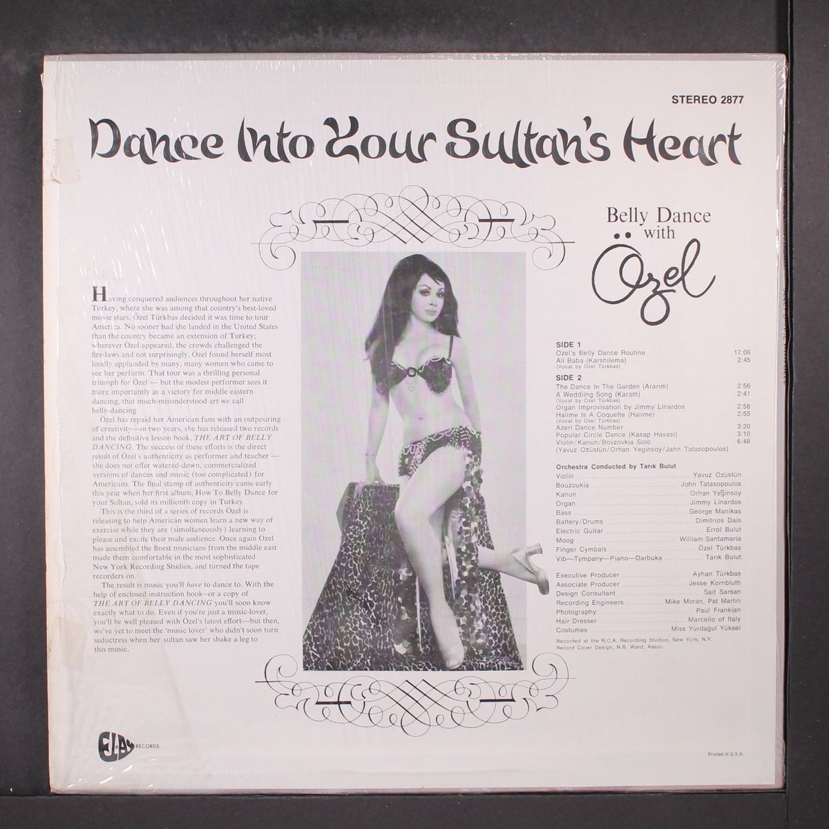 dance into your sultan's heart by OZEL TURKBAS