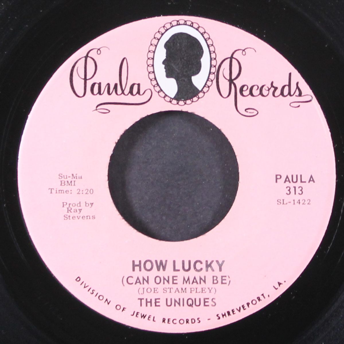how lucky / you don't miss your water by UNIQUES