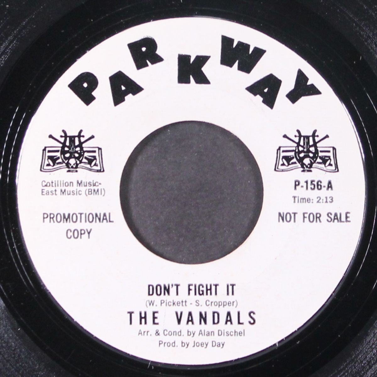 fifth avenue new york city / don't fight it by VANDALS