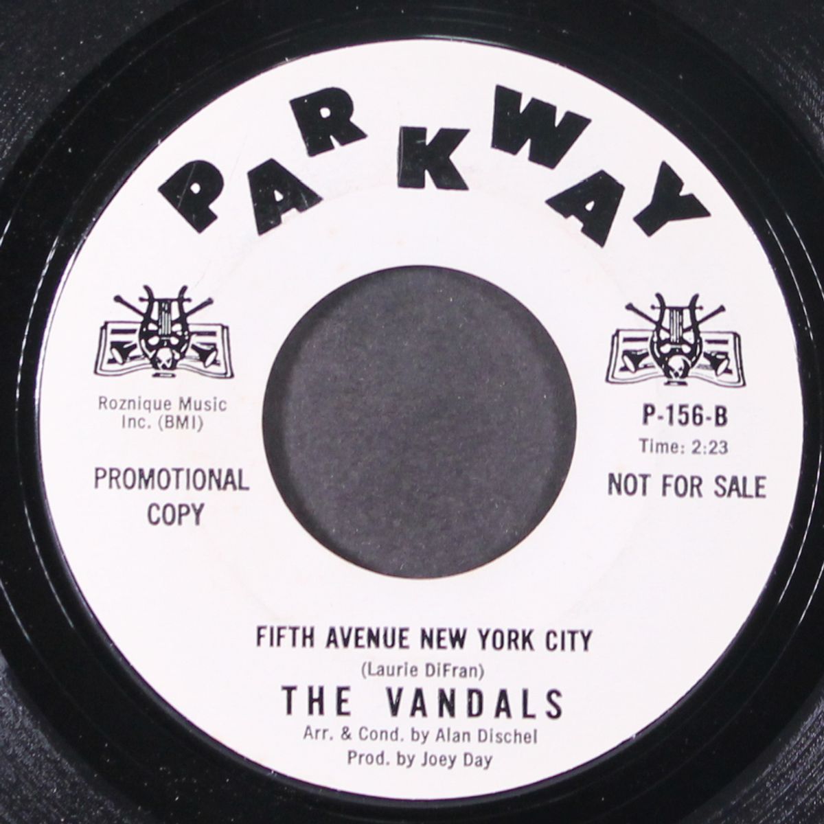 fifth avenue new york city / don't fight it by VANDALS