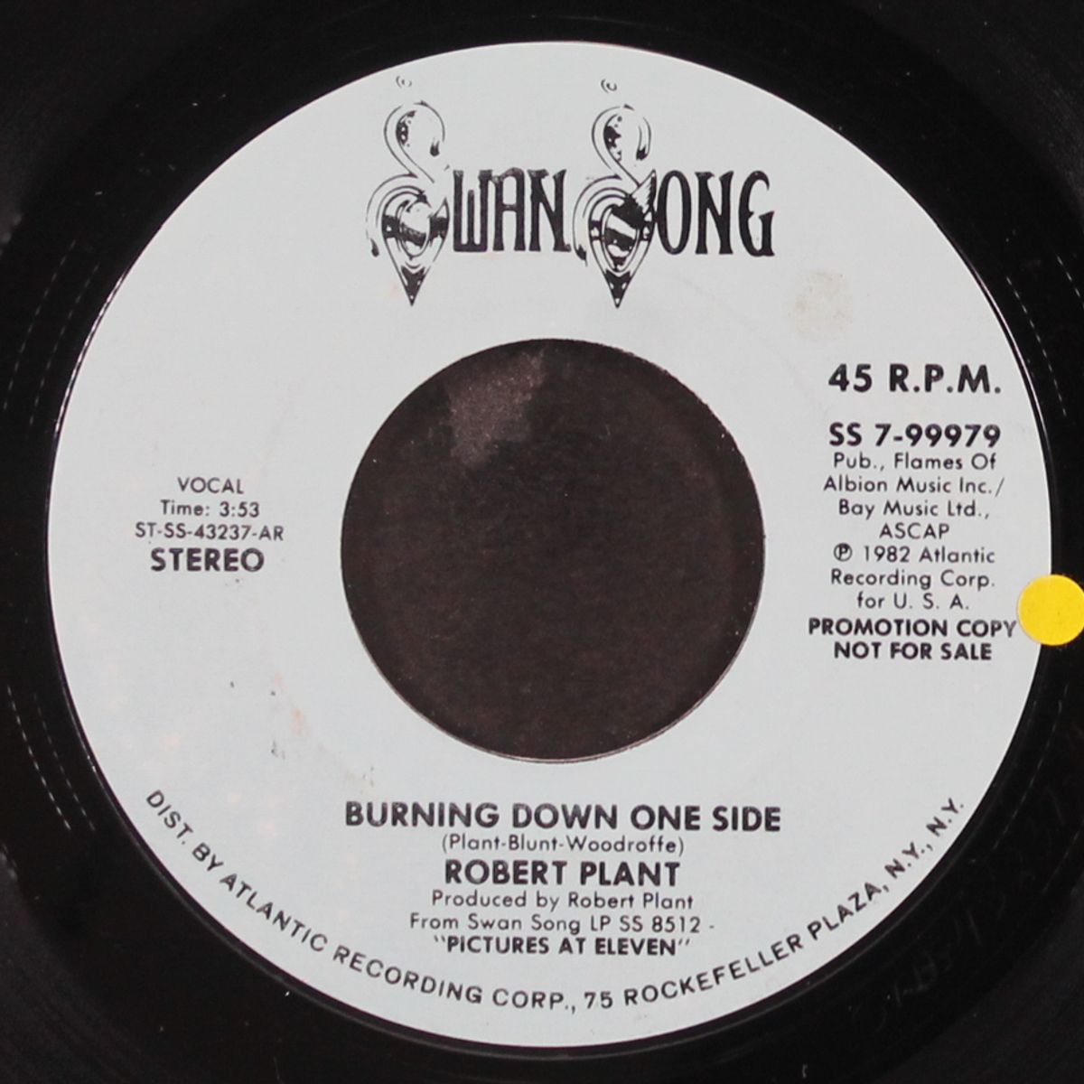 burning down one side / mono by ROBERT PLANT