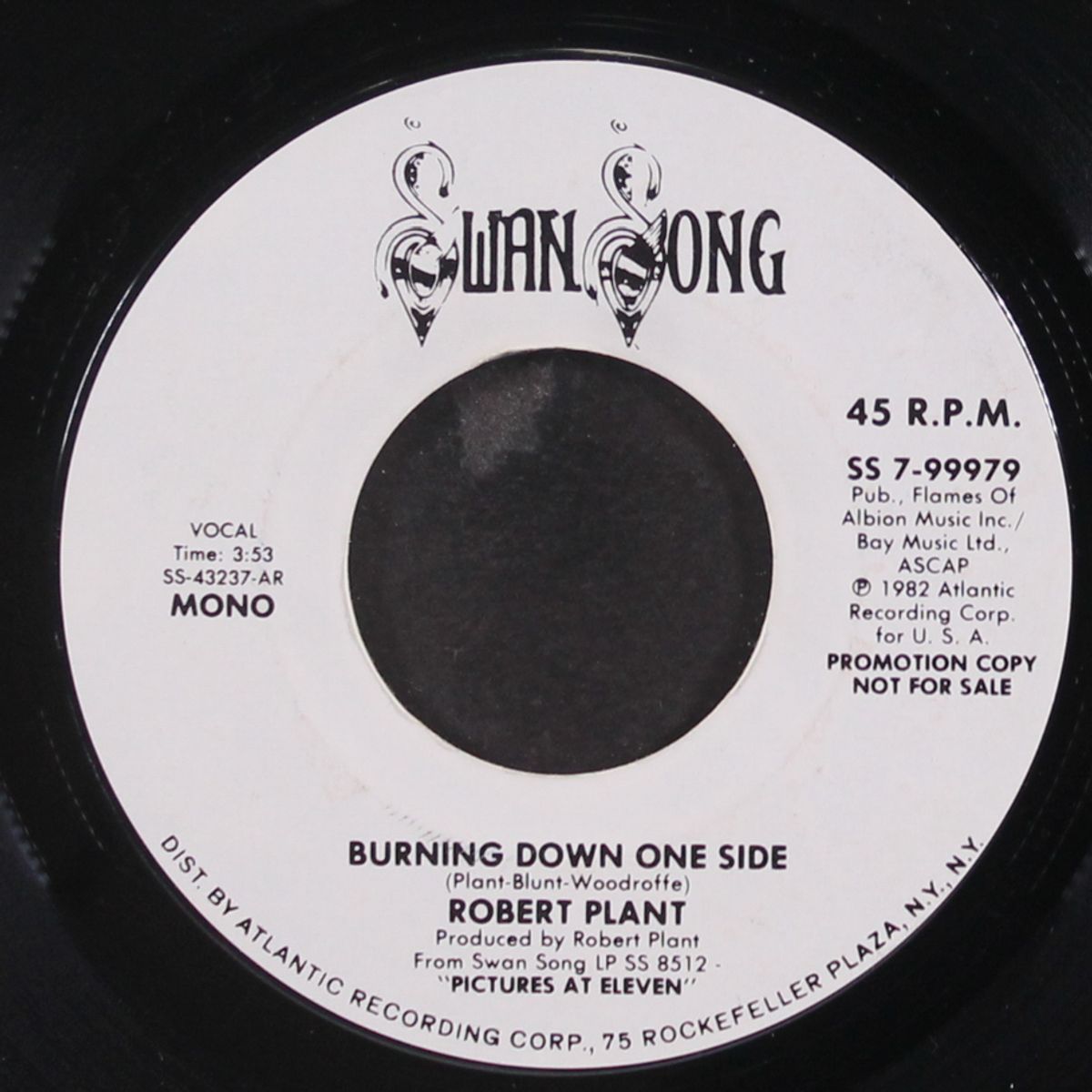 burning down one side / mono by ROBERT PLANT