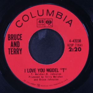BRUCE AND TERRY