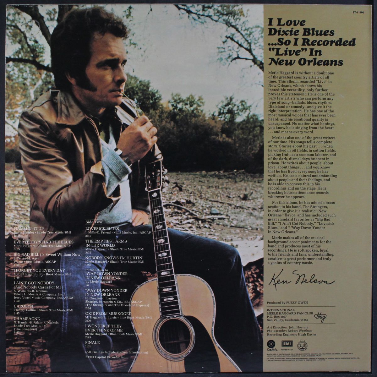 i love dixie blues by MERLE HAGGARD
