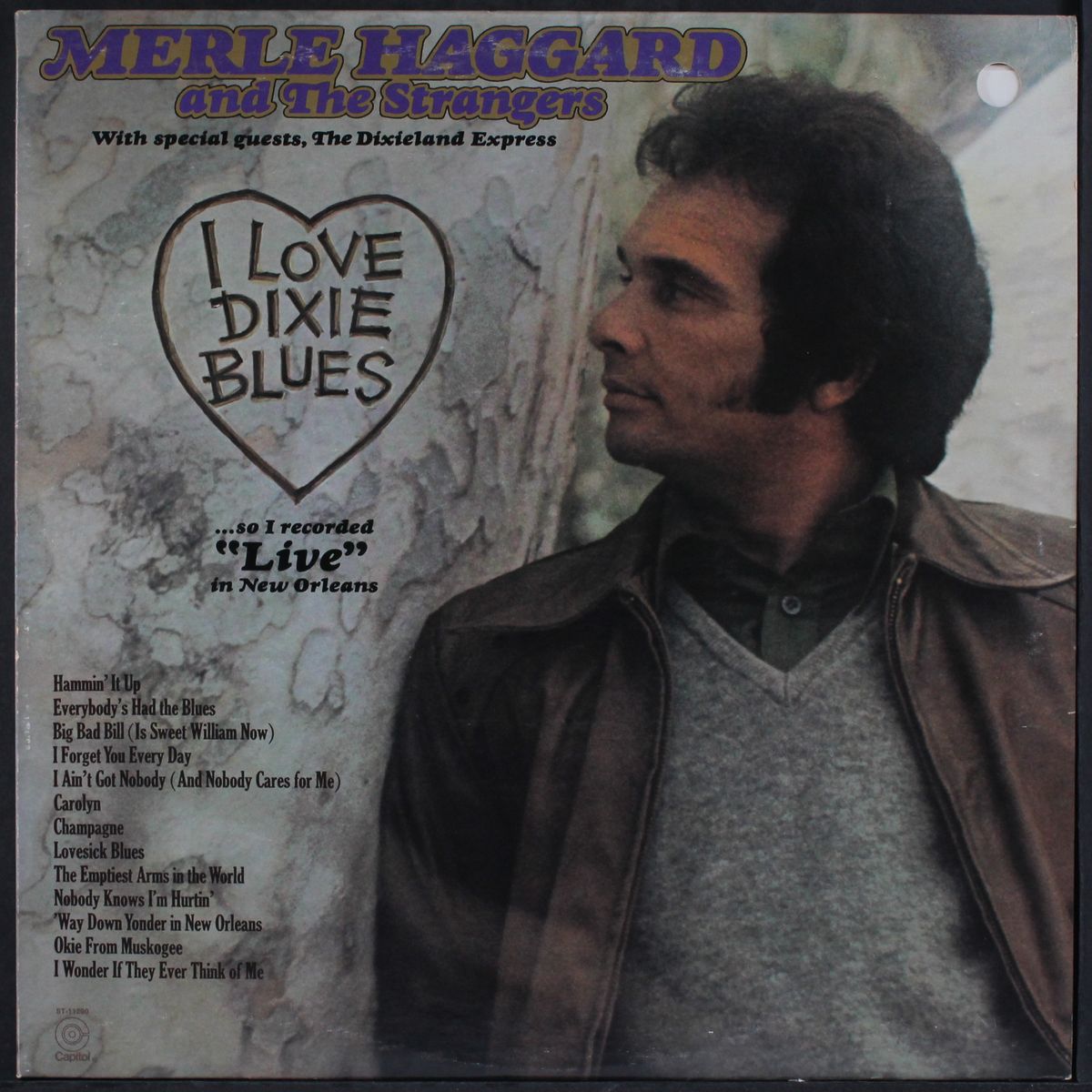 i love dixie blues by MERLE HAGGARD