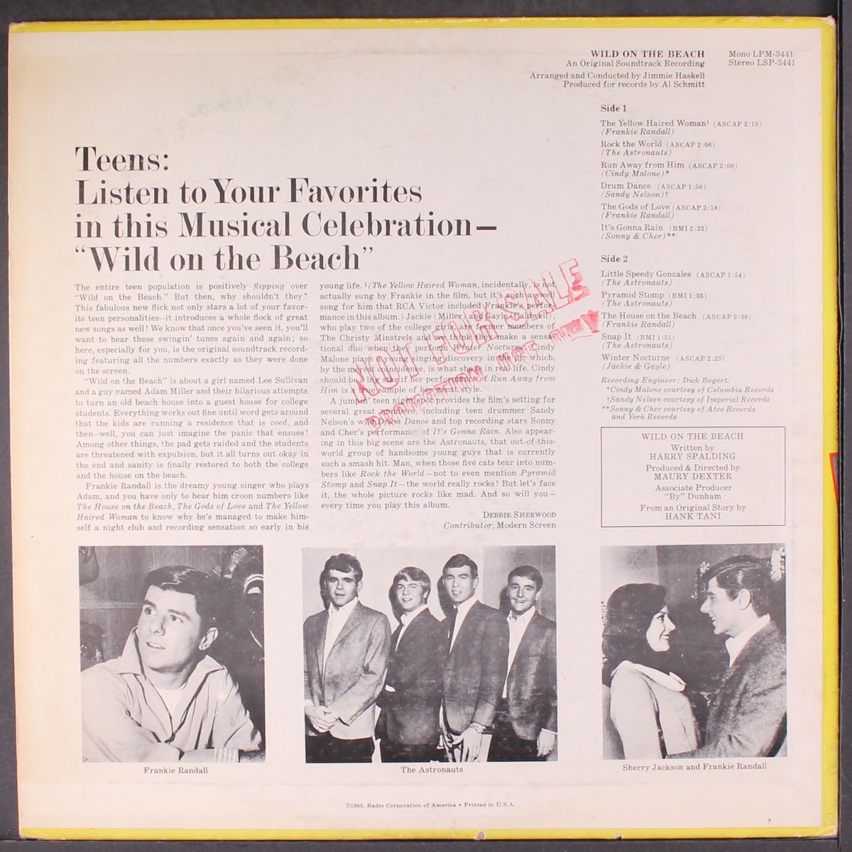 wild on the beach by SOUNDTRACK