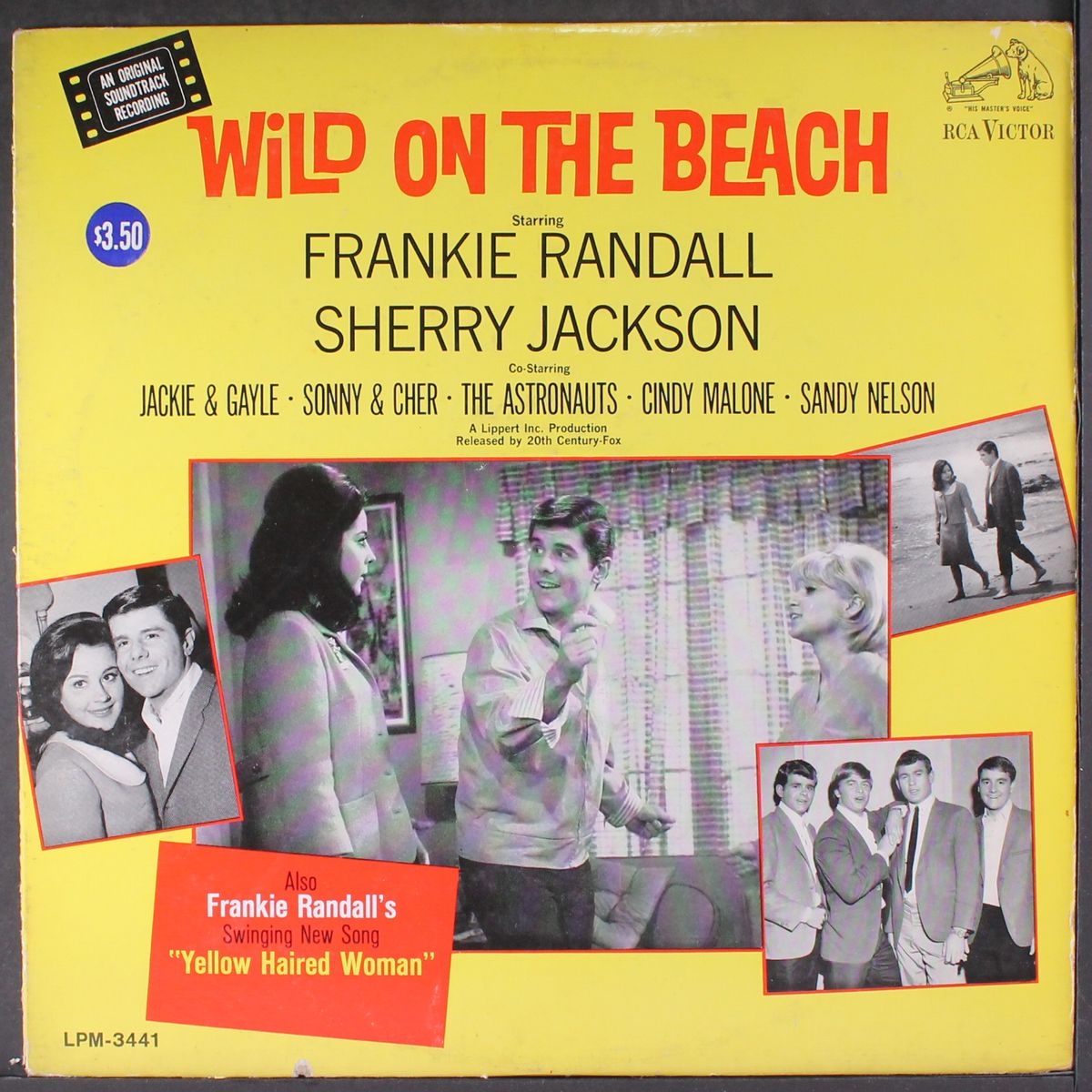wild on the beach by SOUNDTRACK