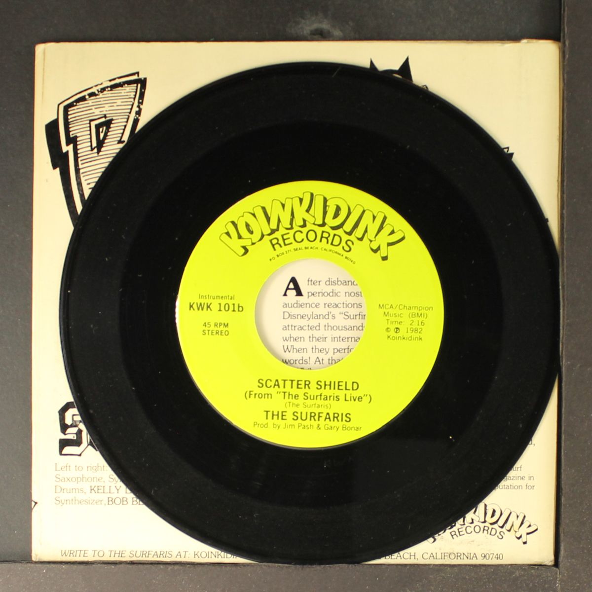 punkline by SURFARIS