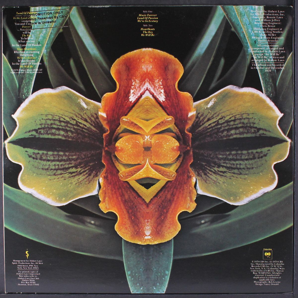 land of passion by HUBERT LAWS