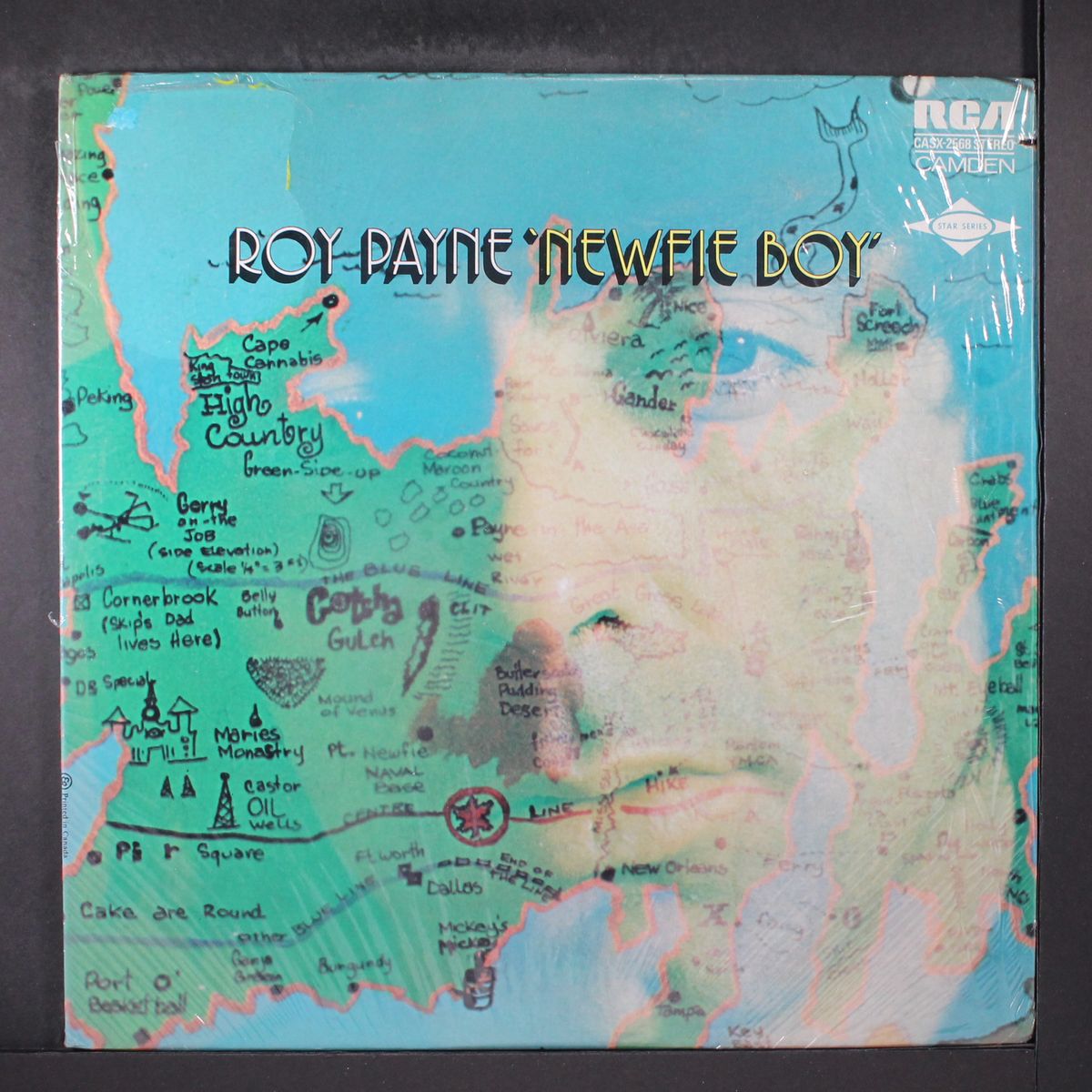 newfie boy by ROY PAYNE