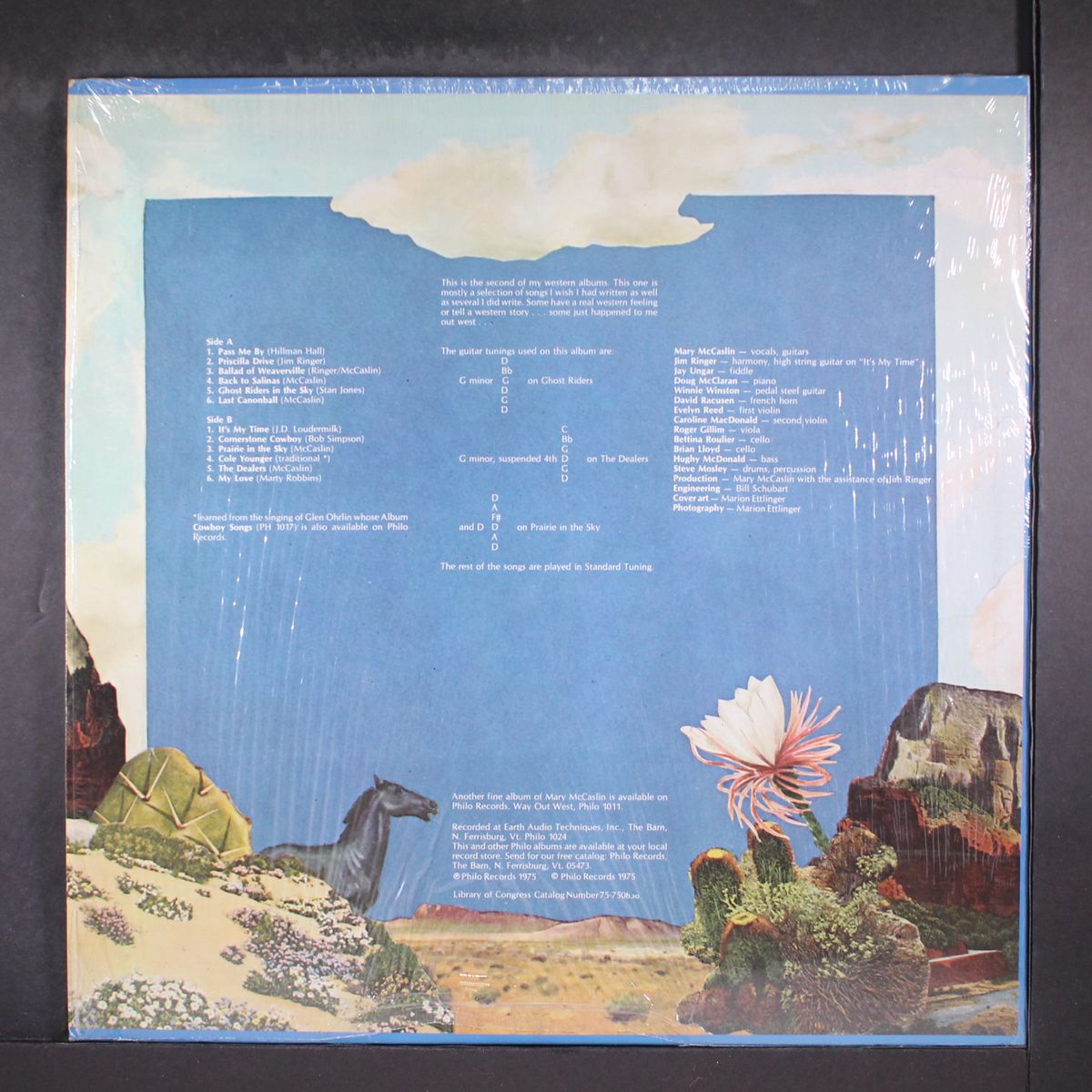 prairie in the sky by MARY MCCASLIN