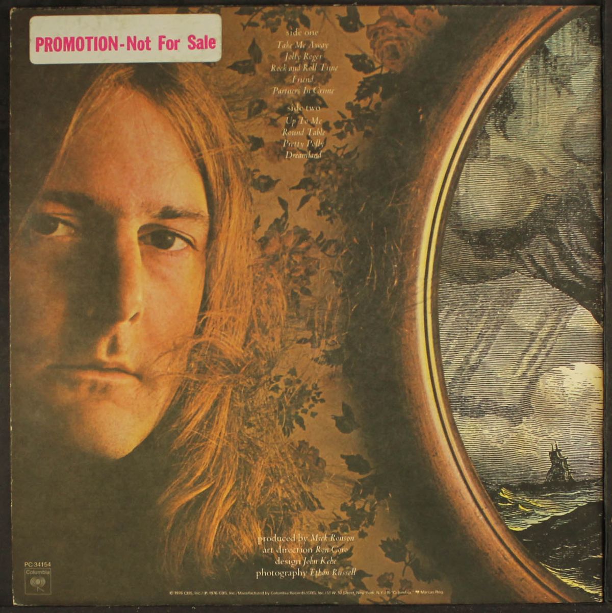 cardiff rose by ROGER MCGUINN
