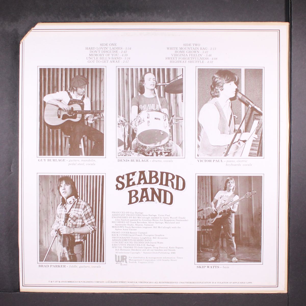 seabird band by SEABIRD BAND