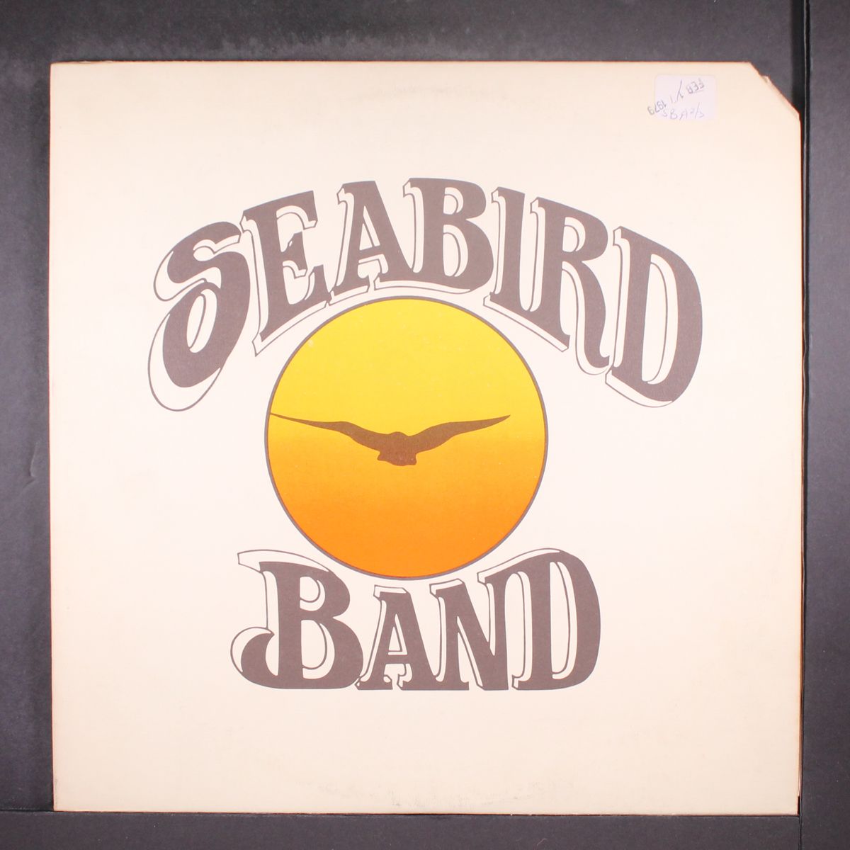 seabird band by SEABIRD BAND