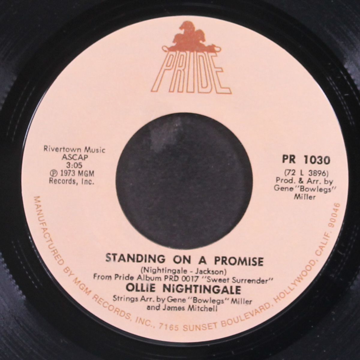 sweet surrender / standing on a promise by OLLIE NIGHTINGALE
