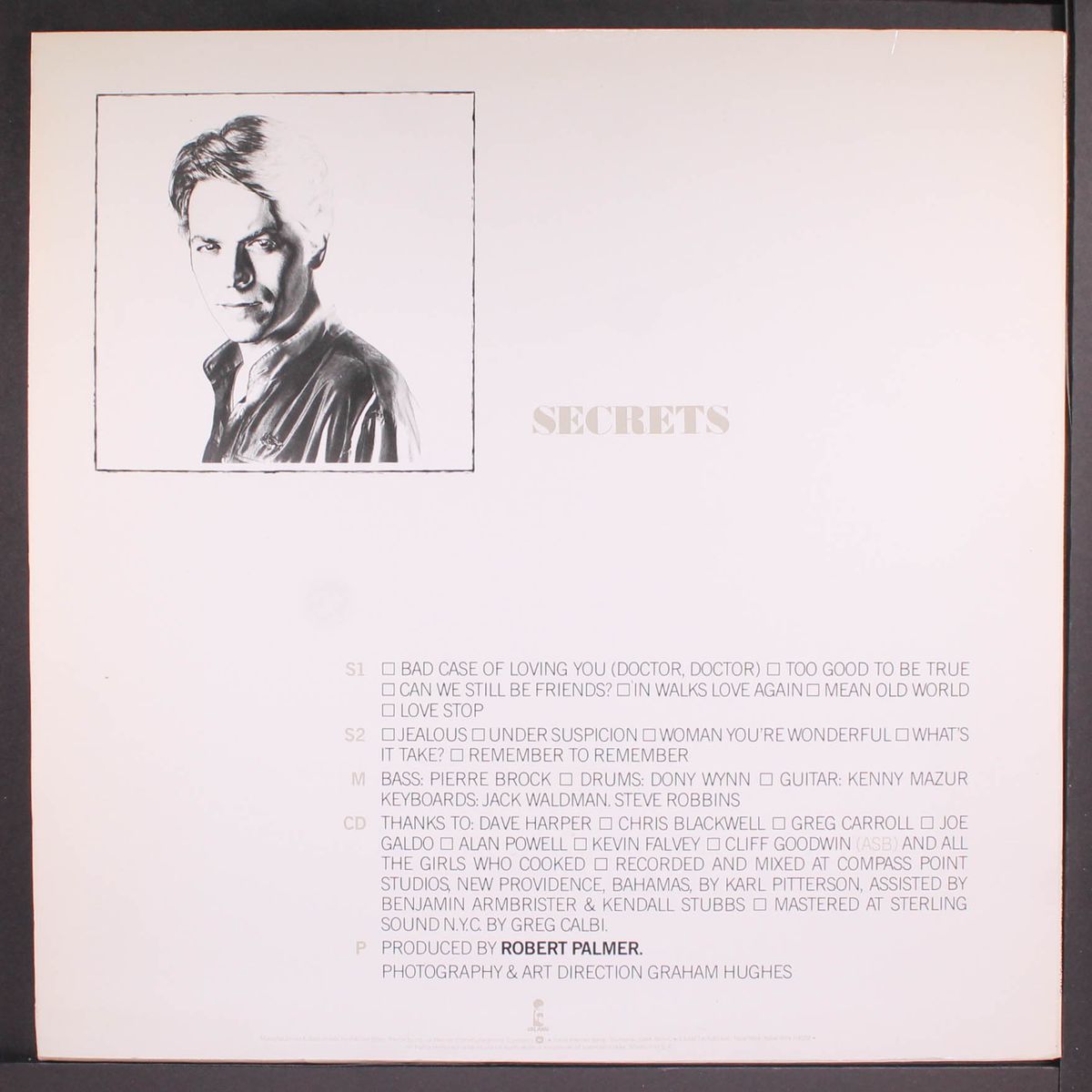 secrets by ROBERT PALMER