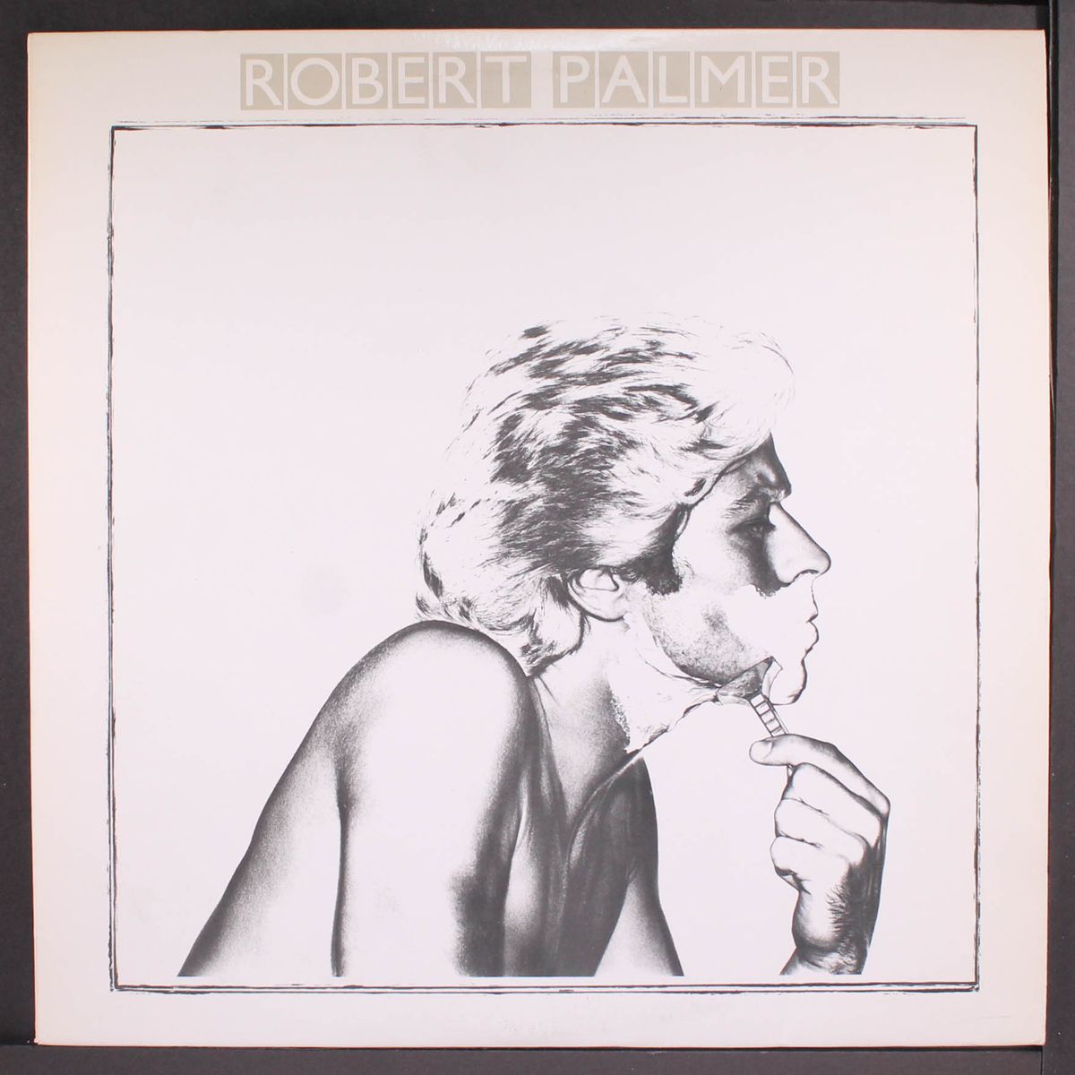 secrets by ROBERT PALMER