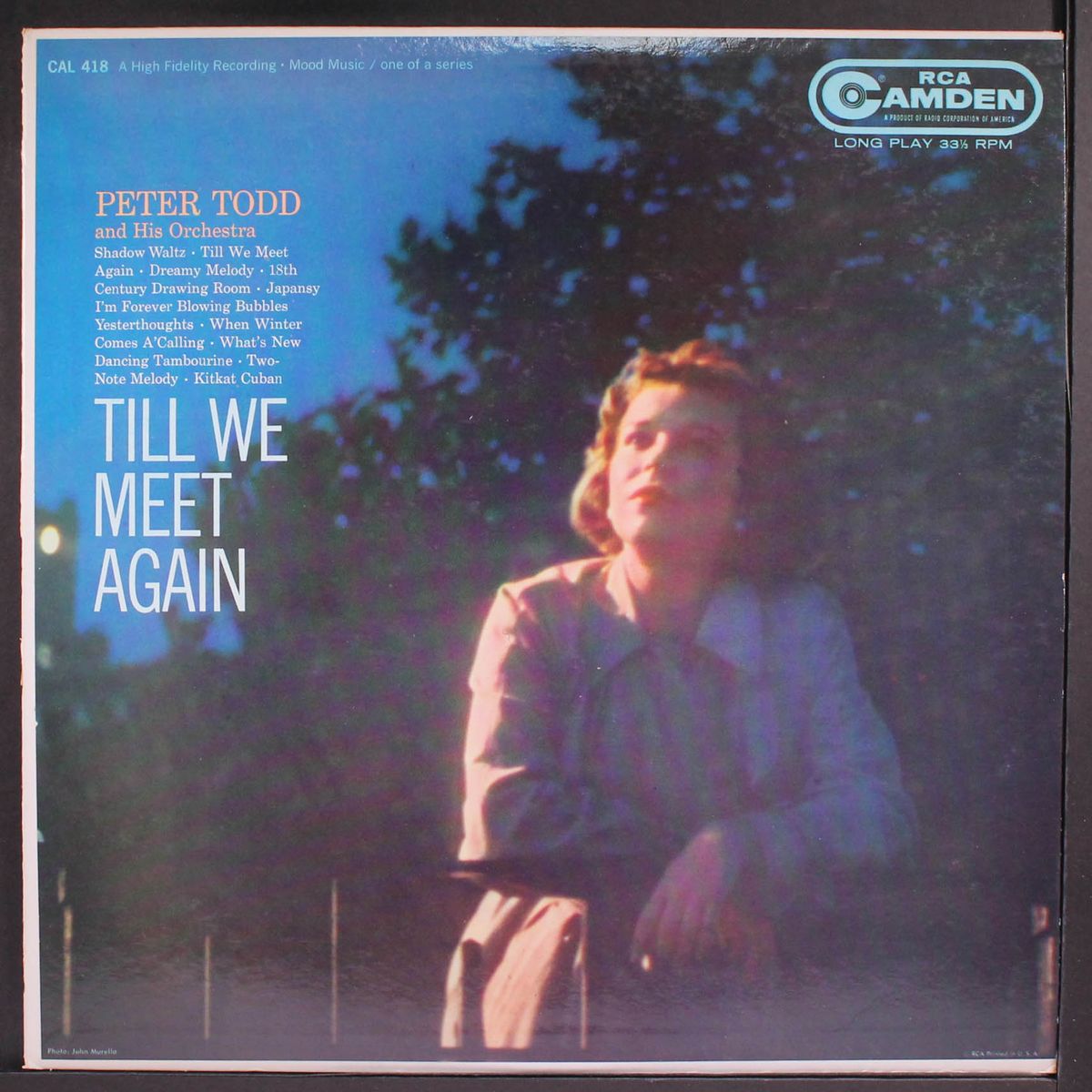 till we meet again by PETER TODD