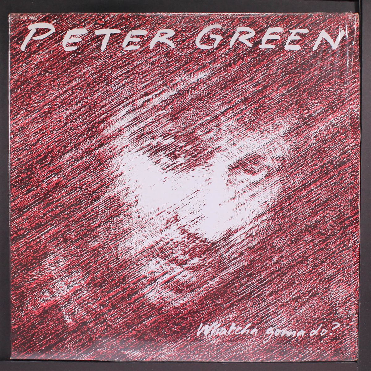 whatcha gonna do? by PETER GREEN