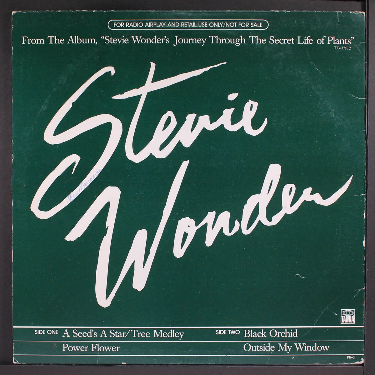 a seed's a star by STEVIE WONDER