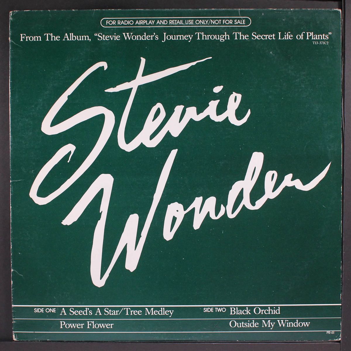 a seed's a star by STEVIE WONDER