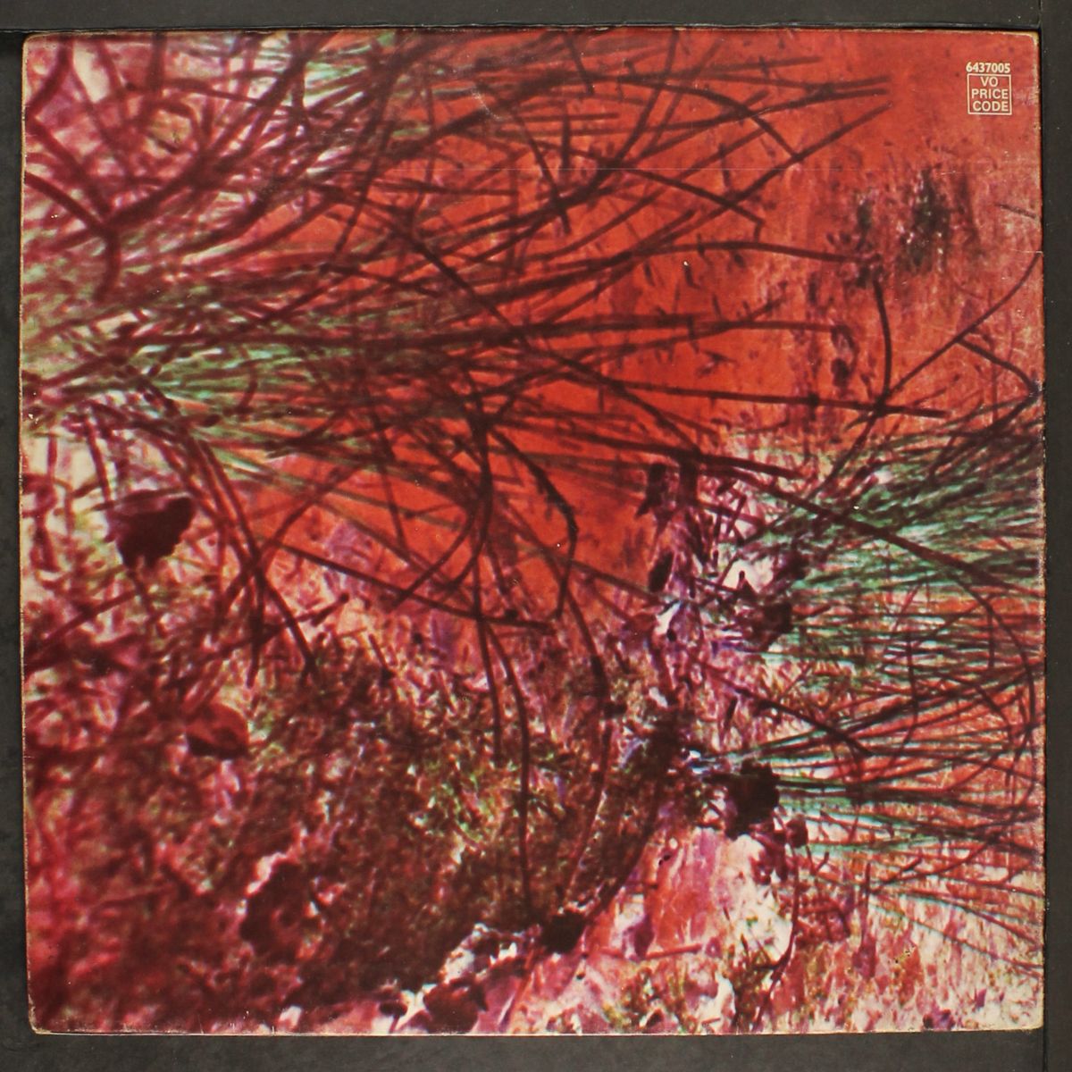zior by ZIOR