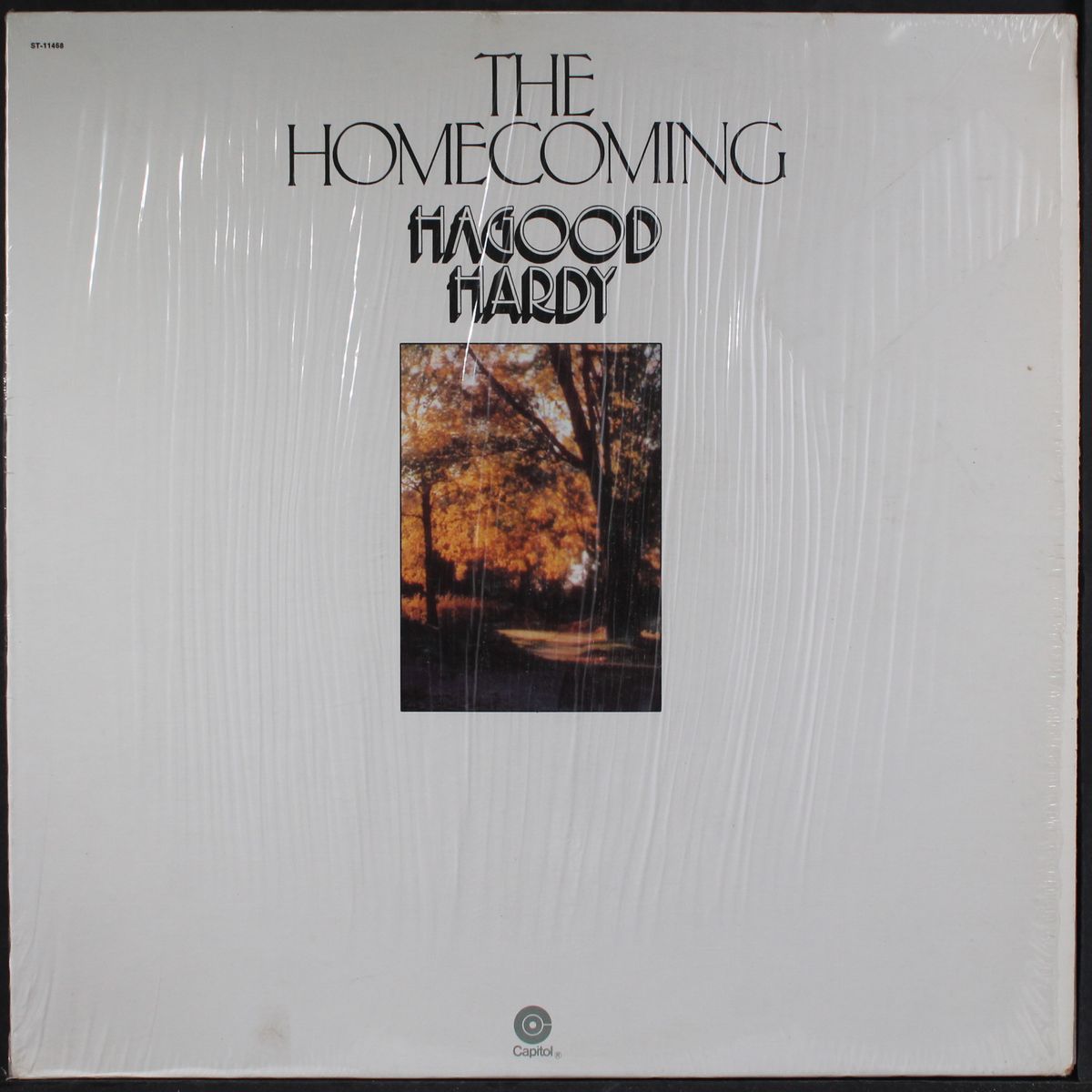 the homecoming by HAGOOD HARDY
