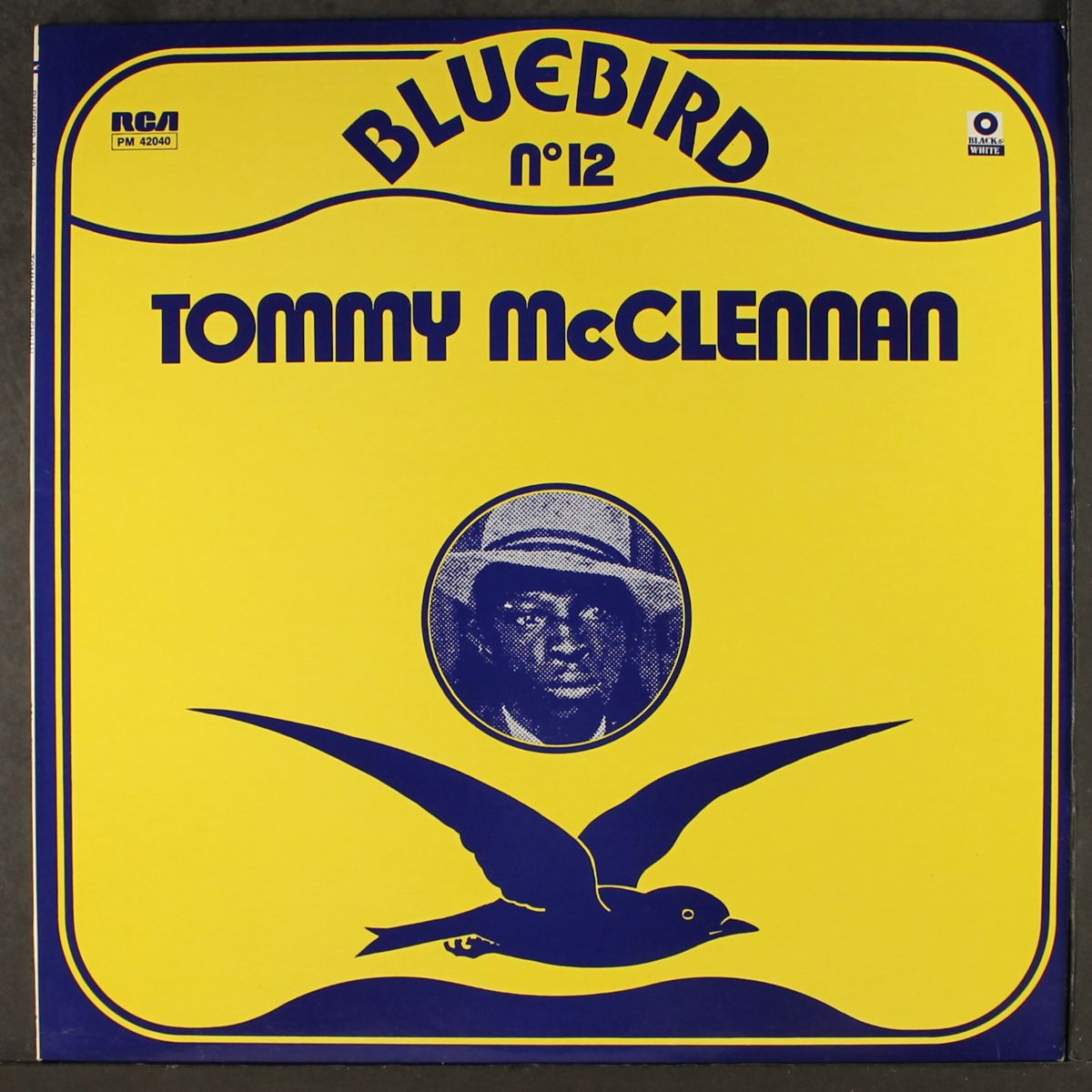 mississippi blues by TOMMY MCCLENNAN