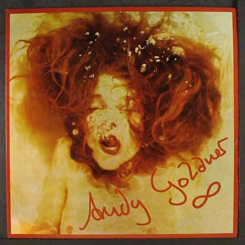 ANDY GOLDNER