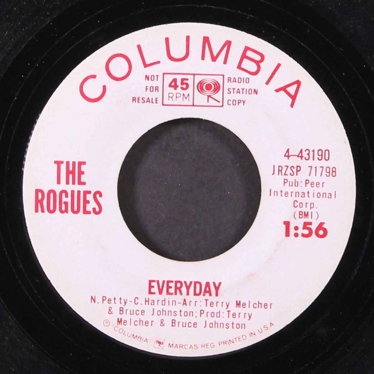 everyday / roger's reef by ROGUES