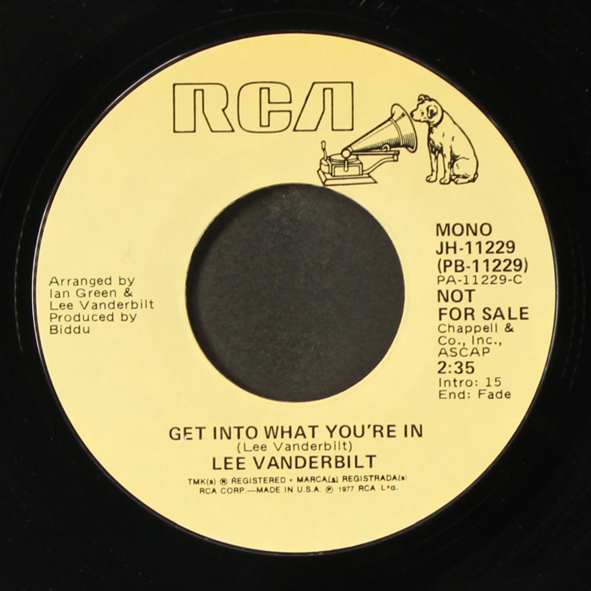 get into what you're in / mono by LEE VANDERBILT
