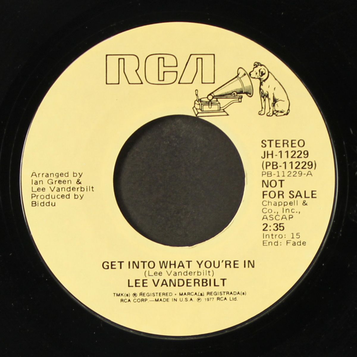 get into what you're in / mono by LEE VANDERBILT