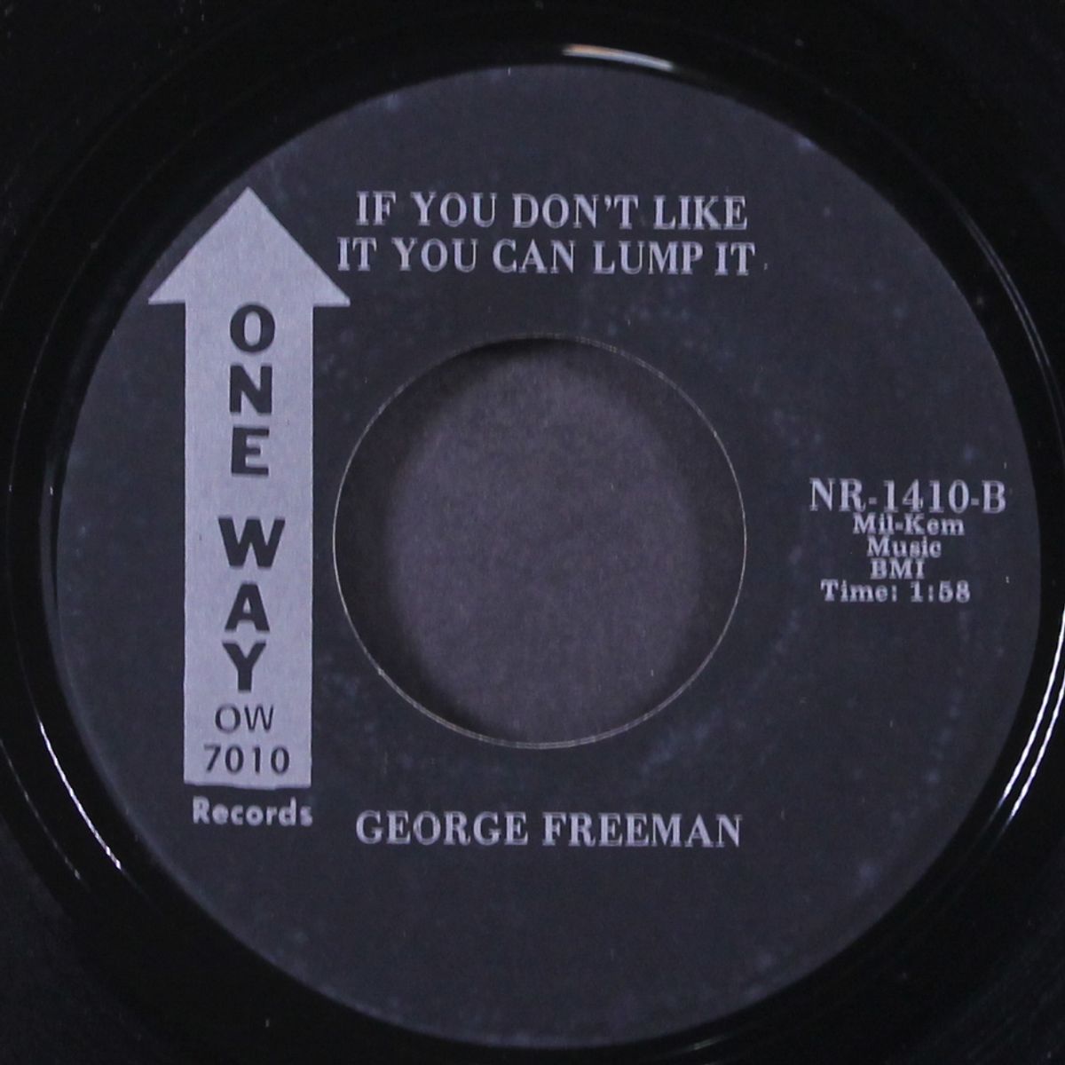 stand up pride / if you don't like it you can lump it by GEORGE FREEMAN