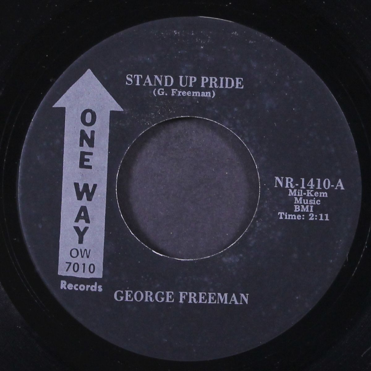 stand up pride / if you don't like it you can lump it by GEORGE FREEMAN