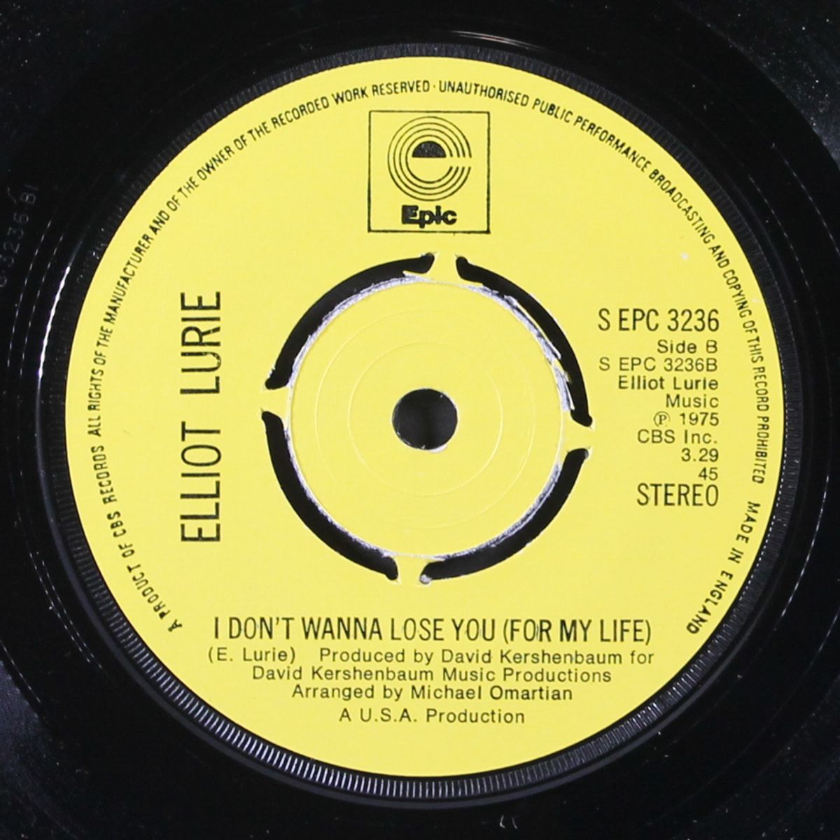 disco / i don't wanna lose you by ELLIOT LURIE