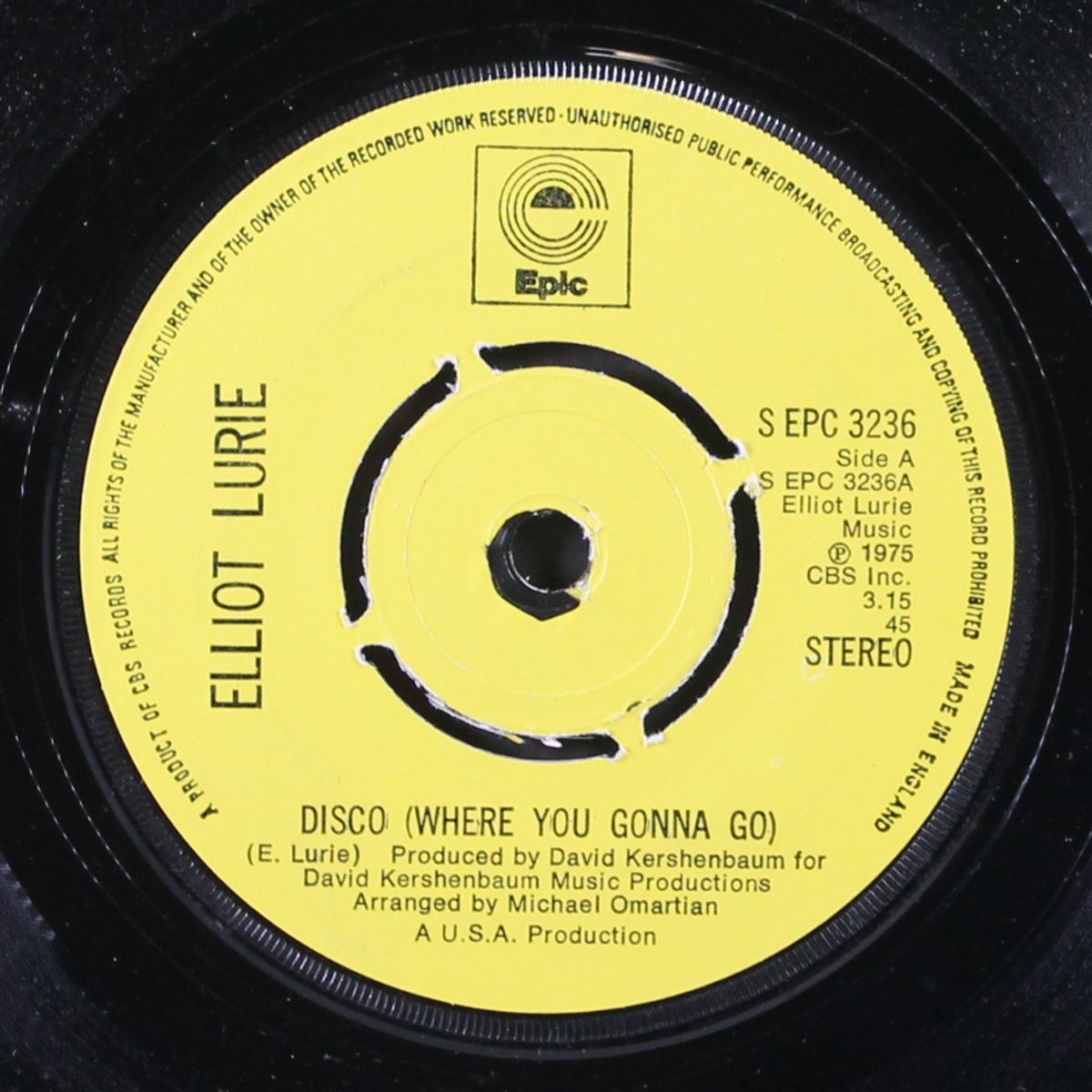 disco / i don't wanna lose you by ELLIOT LURIE