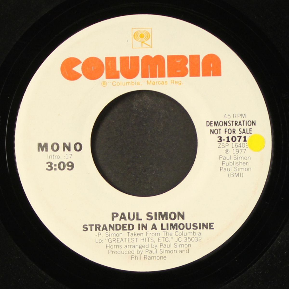 stranded in a limousine / mono by PAUL SIMON